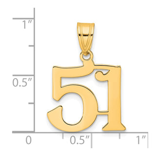 14k Yellow Gold Polished Number 51 Pendant