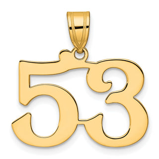14k Yellow Gold Polished Number 53 Pendant