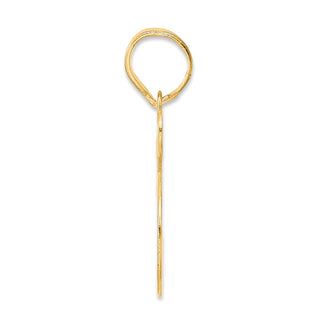 14k Yellow Gold Polished Number 55 Pendant