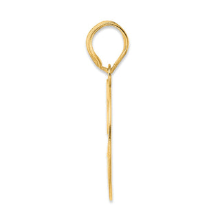 14k Yellow Gold Polished Number 59 Pendant