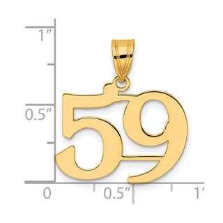 14k Yellow Gold Polished Number 59 Pendant