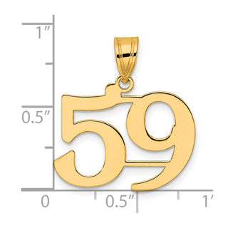 14k Yellow Gold Polished Number 59 Pendant