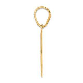 14k Yellow Gold Polished Number 60 Pendant