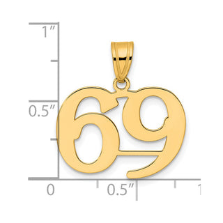 14k Yellow Gold Polished Number 69 Pendant
