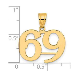 14k Yellow Gold Polished Number 69 Pendant