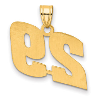 14k Yellow Gold Polished Block Number 29 Pendant