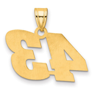14k Yellow Gold Polished Block Number 43 Pendant