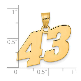 14k Yellow Gold Polished Block Number 43 Pendant