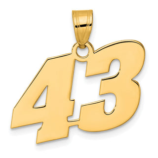 14k Yellow Gold Polished Block Number 43 Pendant