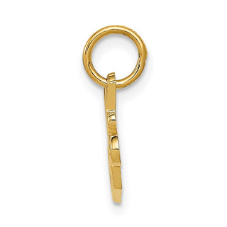 14k Yellow Gold Special Sister Charm C1069