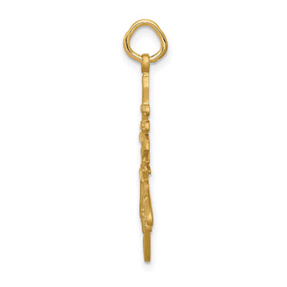 14k Yellow Gold Long Life Charm