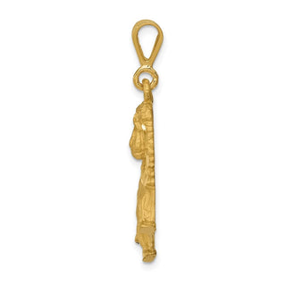 14k Yellow Gold Lion Pendant C1153