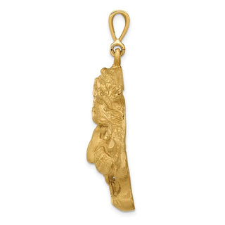 14k Yellow Gold Diamond-cut Tigers Head Pendant