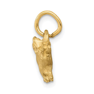 14k Yellow Gold Pig Charm C1160