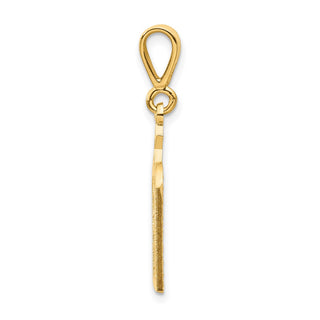 14k Yellow Gold Polished Torah w/Star Of David Charm