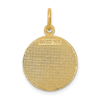 14k Yellow Gold Satin and Polished Communion Charm