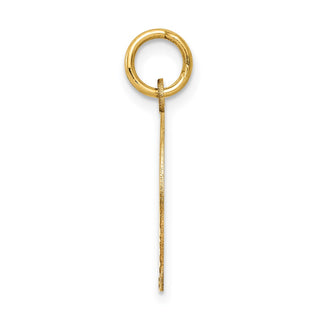 14k Yellow Gold Confirmation w/Dove Medal Charm