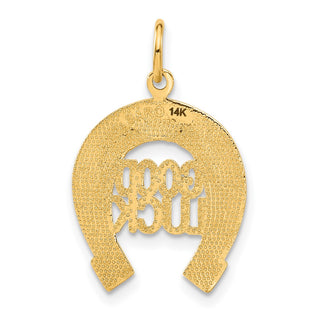 14k Yellow Gold Horseshoe Good Luck Charm