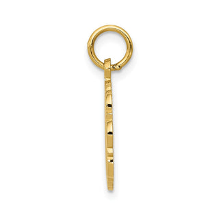 14k Yellow Gold RN Registered Nurse Disc Charm C1784