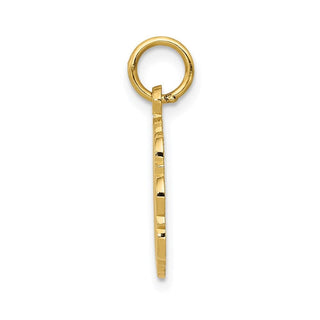 14k Yellow Gold RN Registered Nurse Disc Charm C1784