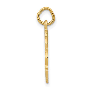 14k Yellow Gold RN Registered Nurse Disc Charm C1785