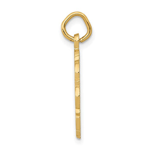 14k Yellow Gold RN Registered Nurse Disc Charm C1785