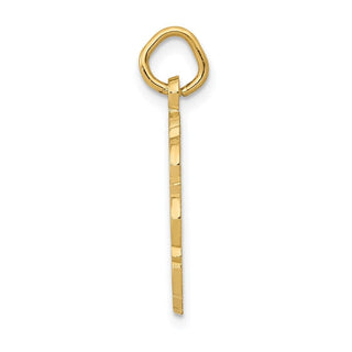 14k Yellow Gold RN Registered Nurse Disc Charm C1785