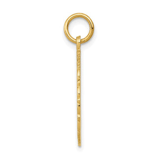 14k Yellow Gold RN Registered Nurse Disc Charm C1786