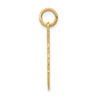 14k Yellow Gold RN Registered Nurse Disc Charm C1786