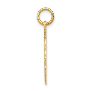 14k Yellow Gold RN Registered Nurse Disc Charm C1786