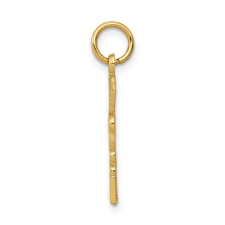 14k Yellow Gold Registered Nurse Practitioner Charm