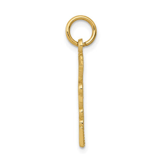 14k Yellow Gold Registered Nurse Practitioner Charm