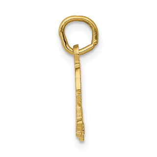 14k Yellow Gold Tiger Charm C1845