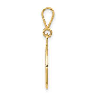 14k Yellow Gold Polished and Satin St. Raphael Angel Pendant
