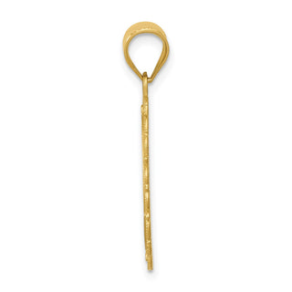 14k Yellow Gold Solid Satin Polished Leo Zodiac Oval Pendant