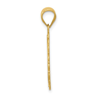 14k Yellow Gold Solid Satin Polished Leo Zodiac Oval Pendant