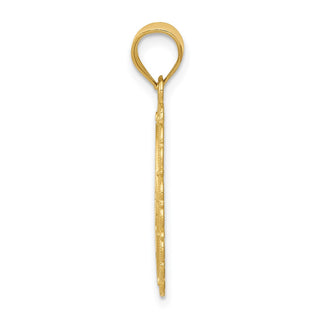 14k Yellow Gold Solid Satin Polished Pisces Zodiac Oval Pendant