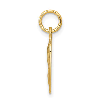 14k Yellow Gold Satin and Diamond-cut Angel Charm C346