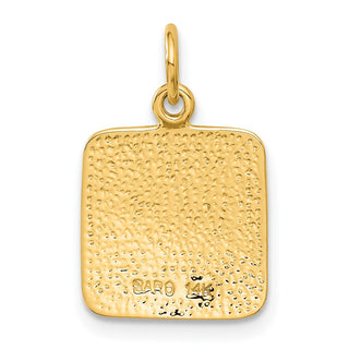 14k Yellow Gold Satin and Diamond-cut Angel Charm C346