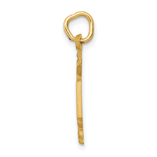14k Yellow Gold RN Nurse Charm C432
