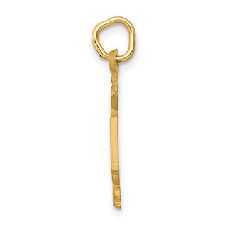 14k Yellow Gold RN Nurse Charm C432