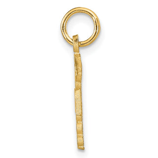 14k Yellow Gold RN Nurse Charm C433