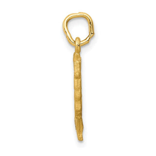 14k Yellow Gold Satin Front / Polished Back Nefertiti Charm C444