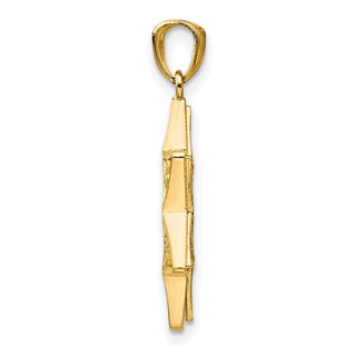 14k Yellow and White Gold Star Of David with Torah Pendant