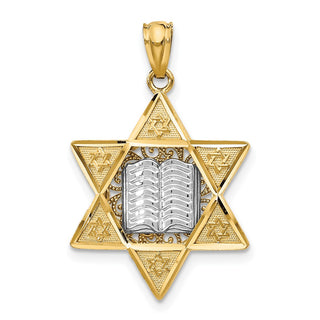 14k Yellow and White Gold Star Of David with Torah Pendant