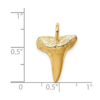 14k Yellow Gold Shark Tooth Charm