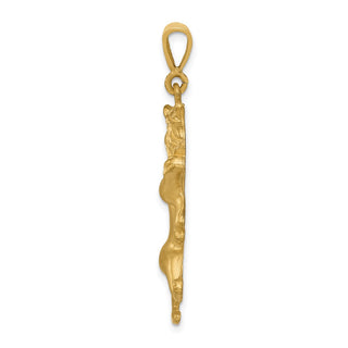 14k Yellow Gold Satin Diamond-cut Leo Zodiac Charm C468