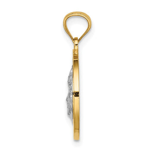 14k Yellow Gold with White Rhodium Jesus Medal Pendant C4710