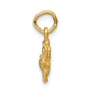 14k Yellow Gold Satin Diamond-cut Cancer Zodiac Charm C479