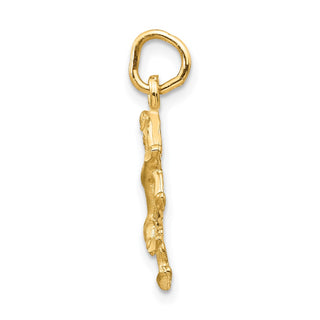 14k Yellow Gold Satin Diamond-cut Leo Zodiac Charm C480